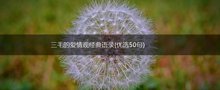 三毛的爱情观经典语录(优选50句),第1张