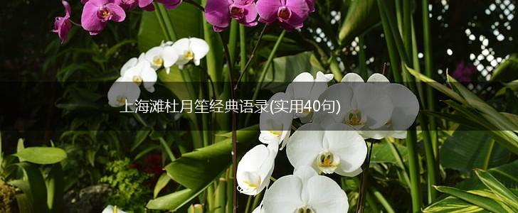 上海滩杜月笙经典语录(实用40句),第1张