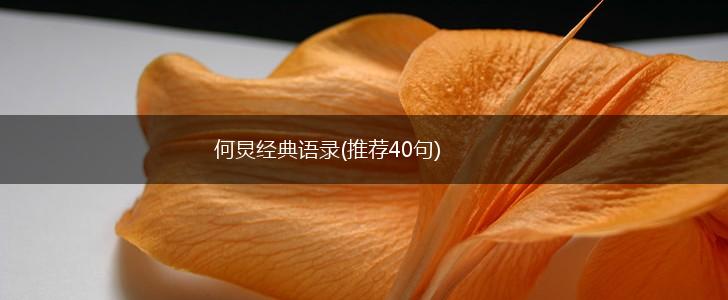 何炅经典语录(推荐40句),第1张