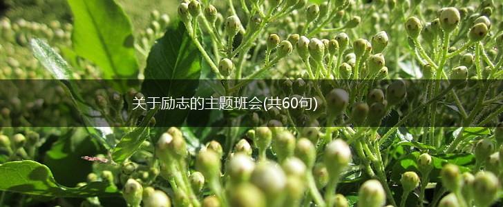 关于励志的主题班会(共60句),第1张