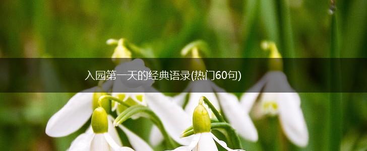 入园第一天的经典语录(热门60句),第1张