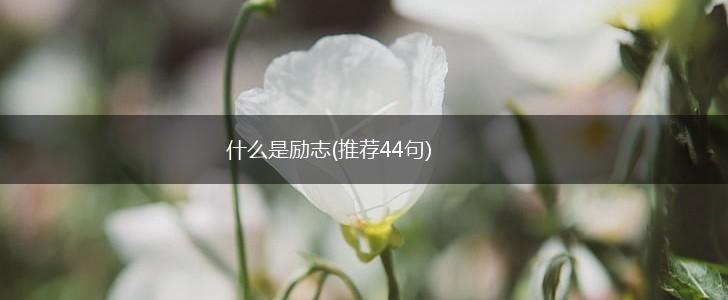 什么是励志(推荐44句),第1张