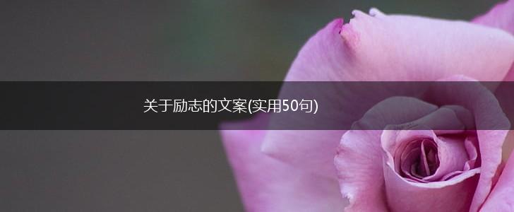 关于励志的文案(实用50句),第1张
