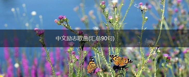 中文励志歌曲(汇总90句),第1张