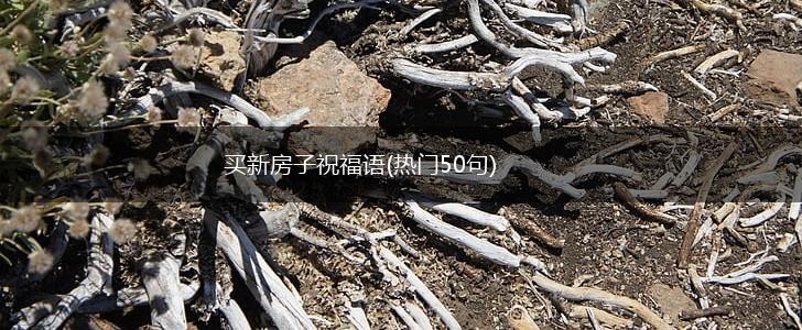 买新房子祝福语(热门50句),第1张