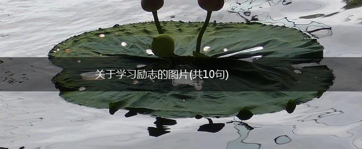 关于学习励志的图片(共10句),第1张