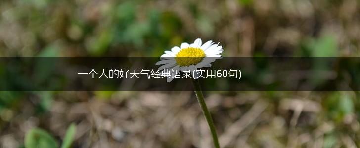 一个人的好天气经典语录(实用60句),第1张
