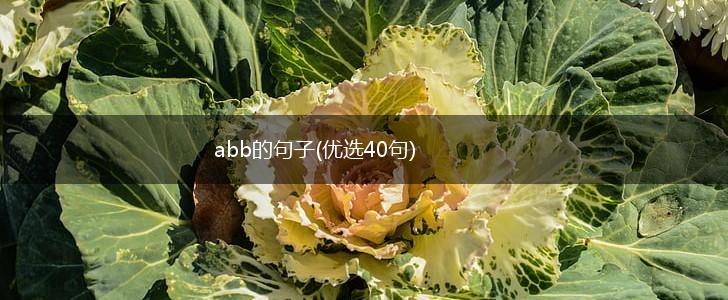 abb的句子(优选40句),第1张