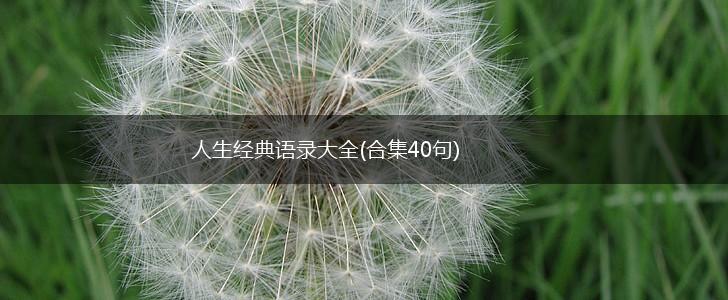 人生经典语录大全(合集40句),第1张