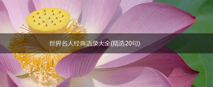 世界名人经典语录大全(精选20句),第1张