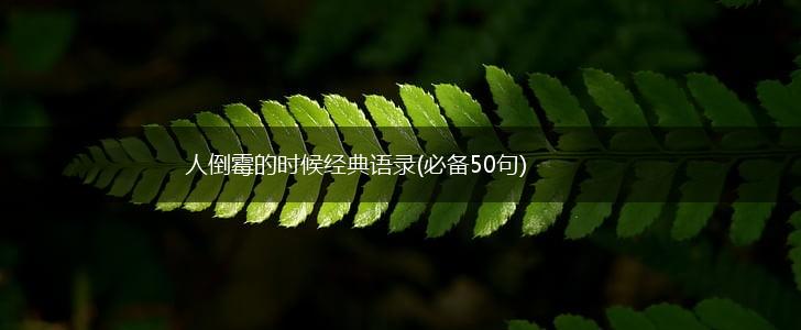 人倒霉的时候经典语录(必备50句),第1张