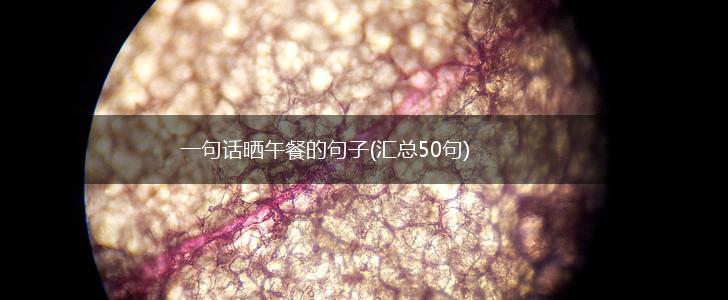 一句话晒午餐的句子(汇总50句),第1张