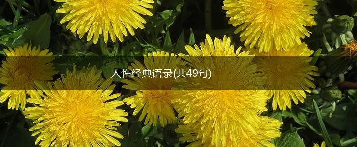 人性经典语录(共49句),第1张