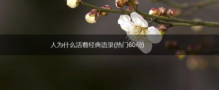 人为什么活着经典语录(热门60句),第1张