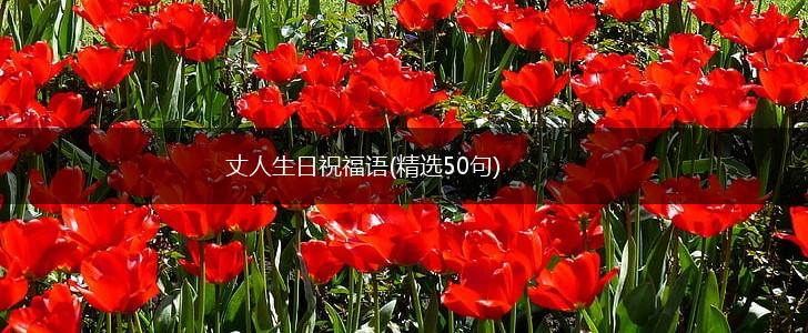 丈人生日祝福语(精选50句),第1张