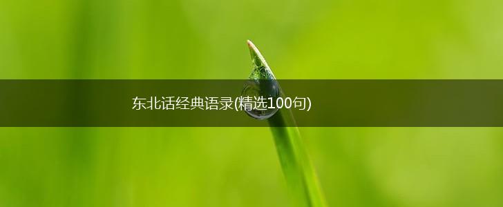 东北话经典语录(精选100句),第1张