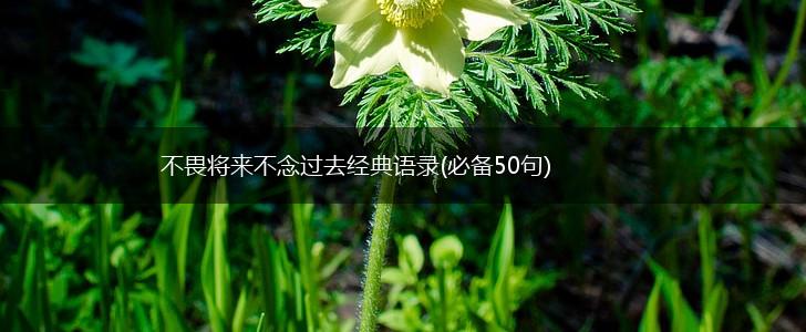 不畏将来不念过去经典语录(必备50句),第1张