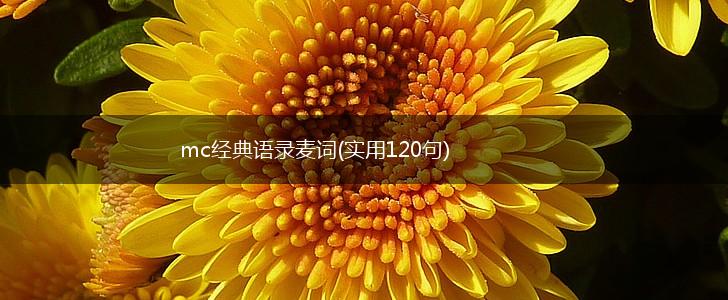 mc经典语录麦词(实用120句),第1张