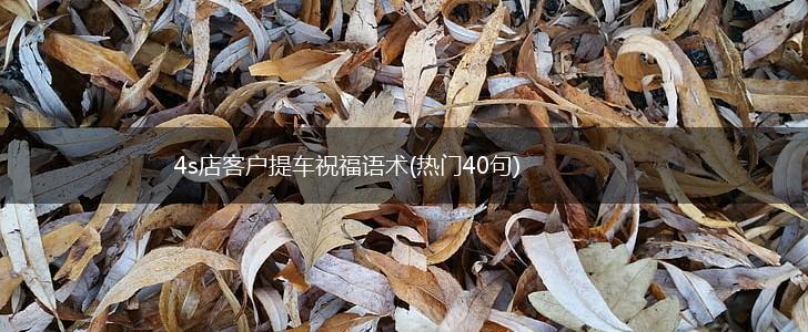 4s店客户提车祝福语术(热门40句),第1张