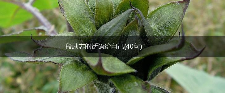 一段励志的话语给自己(40句),第1张