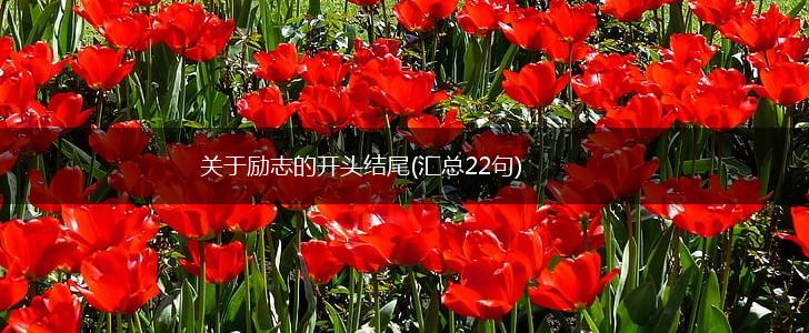 关于励志的开头结尾(汇总22句),第1张