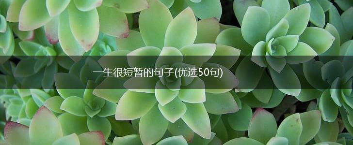 一生很短暂的句子(优选50句),第1张