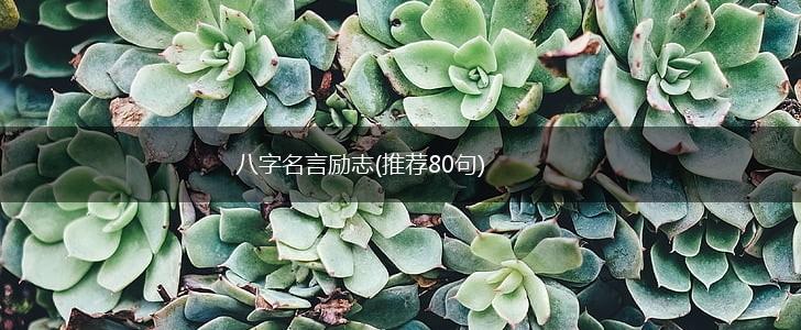 八字名言励志(推荐80句),第1张
