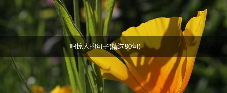 一鸣惊人的句子(精选80句),第1张