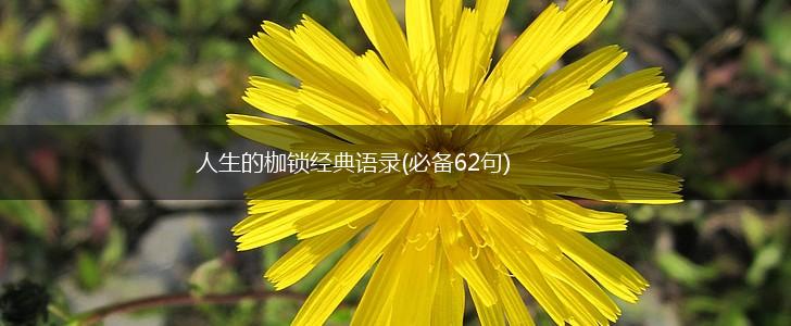 人生的枷锁经典语录(必备62句),第1张