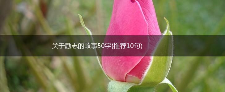 关于励志的故事50字(推荐10句),第1张