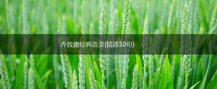 乔致庸经典语录(精选50句),第1张
