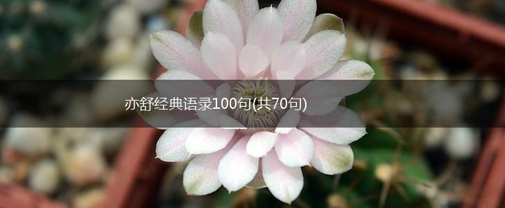 亦舒经典语录100句(共70句),第1张