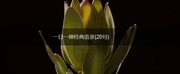 一日一禅经典语录(20句),第1张