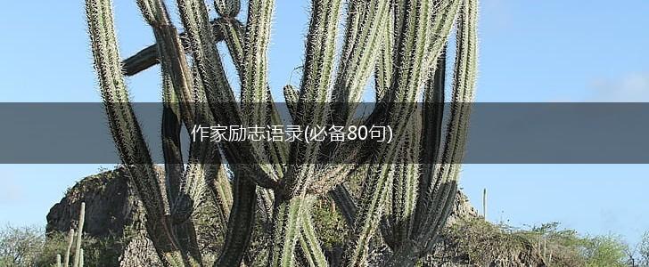 作家励志语录(必备80句),第1张