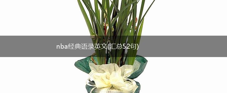 nba经典语录英文(汇总52句),第1张