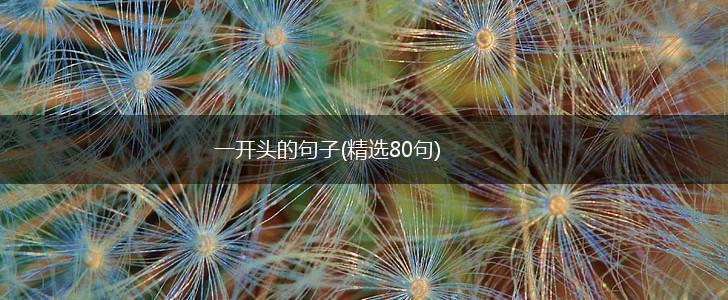 一开头的句子(精选80句),第1张