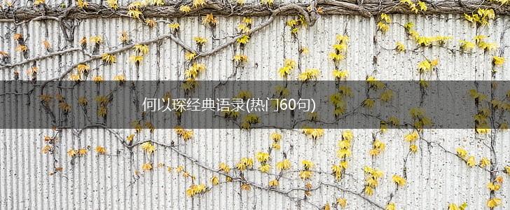 何以琛经典语录(热门60句),第1张