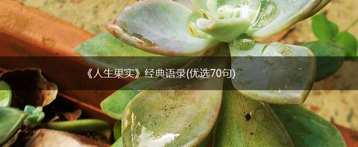 《人生果实》经典语录(优选70句),第1张