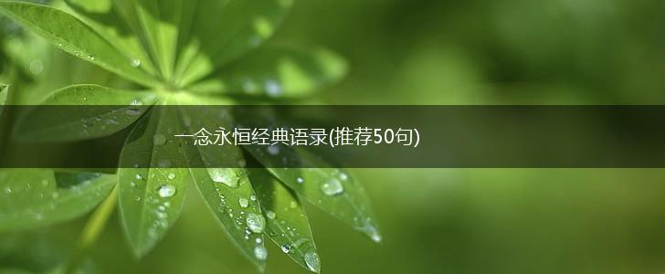 一念永恒经典语录(推荐50句),第1张