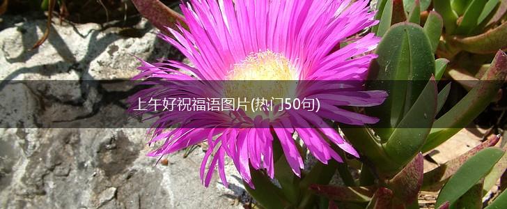 上午好祝福语图片(热门50句),第1张