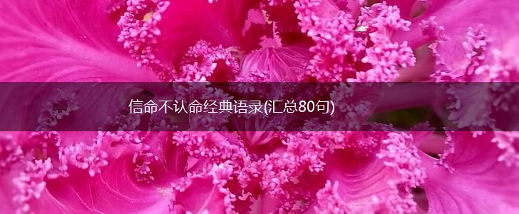 信命不认命经典语录(汇总80句),第1张