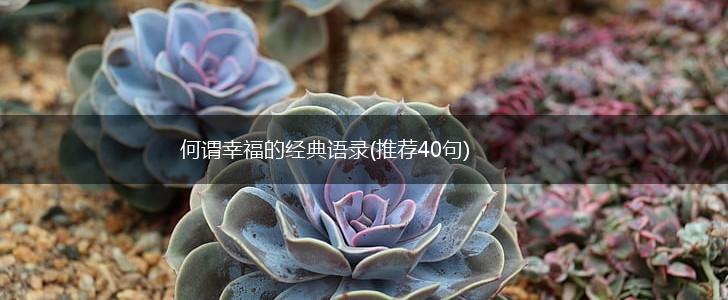 何谓幸福的经典语录(推荐40句),第1张