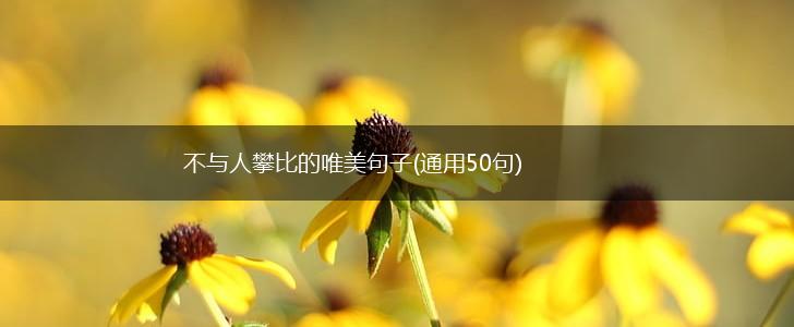 不与人攀比的唯美句子(通用50句),第1张