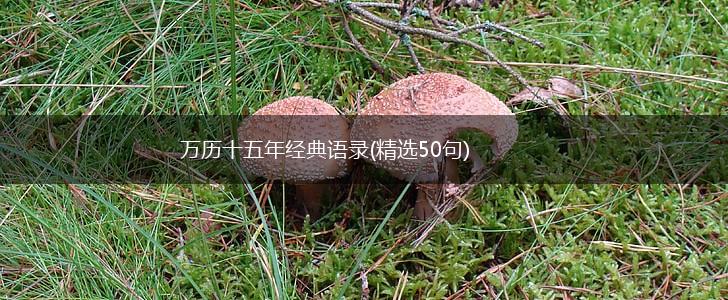 万历十五年经典语录(精选50句),第1张