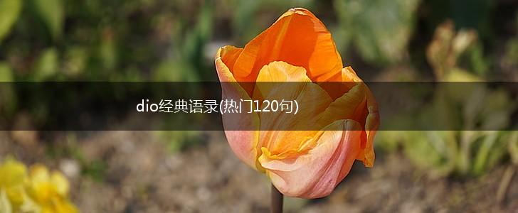 dio经典语录(热门120句),第1张