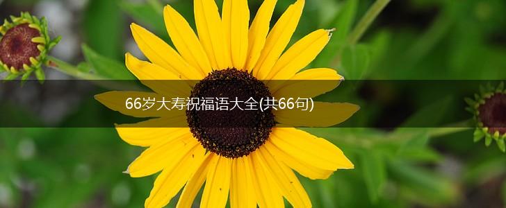 66岁大寿祝福语大全(共66句),第1张