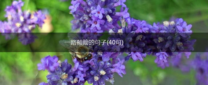 一路颠簸的句子(40句),第1张