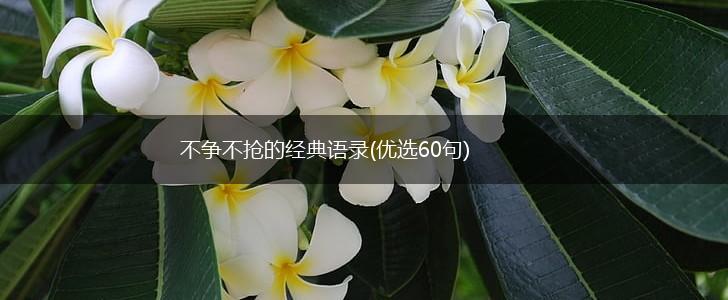 不争不抢的经典语录(优选60句),第1张