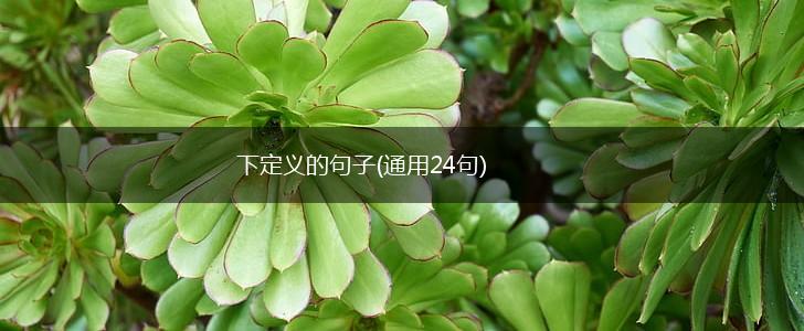 下定义的句子(通用24句),第1张