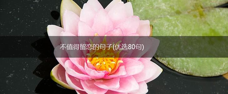 不值得留恋的句子(优选80句),第1张